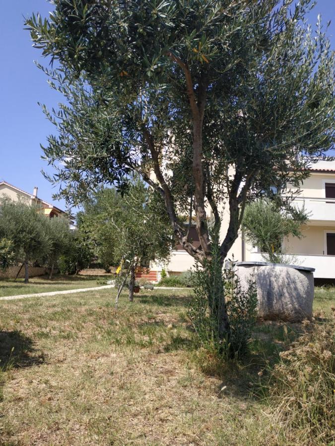 Giovanni Krk Apartment *